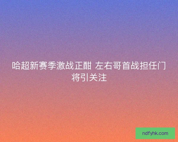 哈超新赛季激战正酣 左右哥首战担任门将引关注 哈超新赛季激战正酣 左右哥首战担任门将引关注